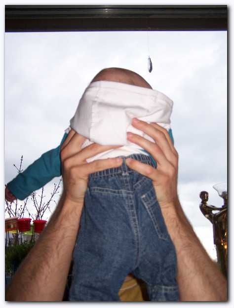 474x624 pixels (24K)